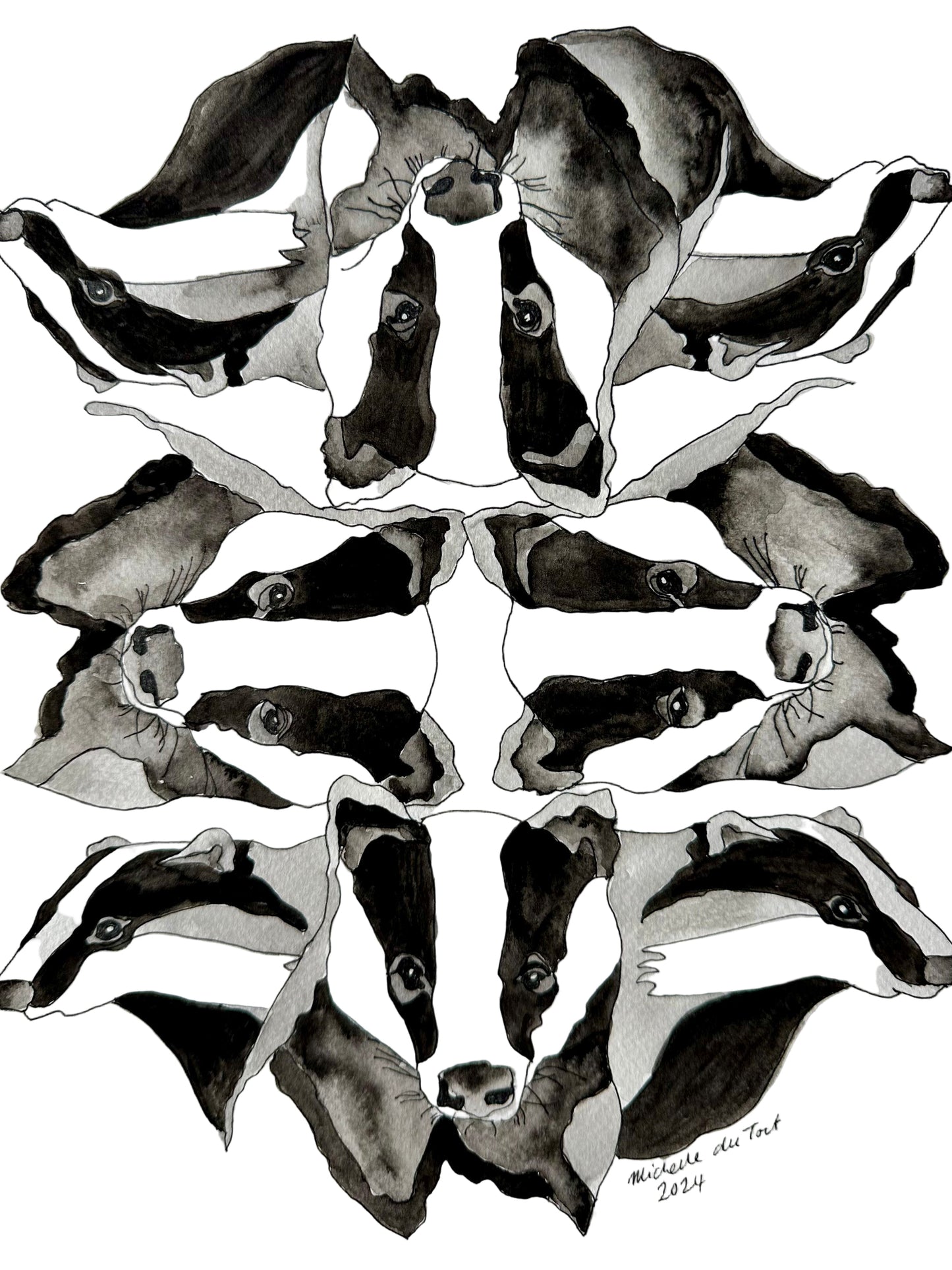 Badgers