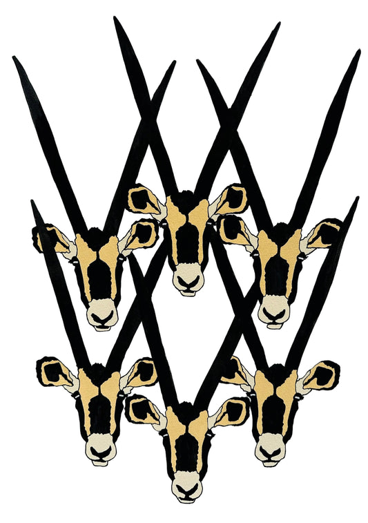 Sable Antelope