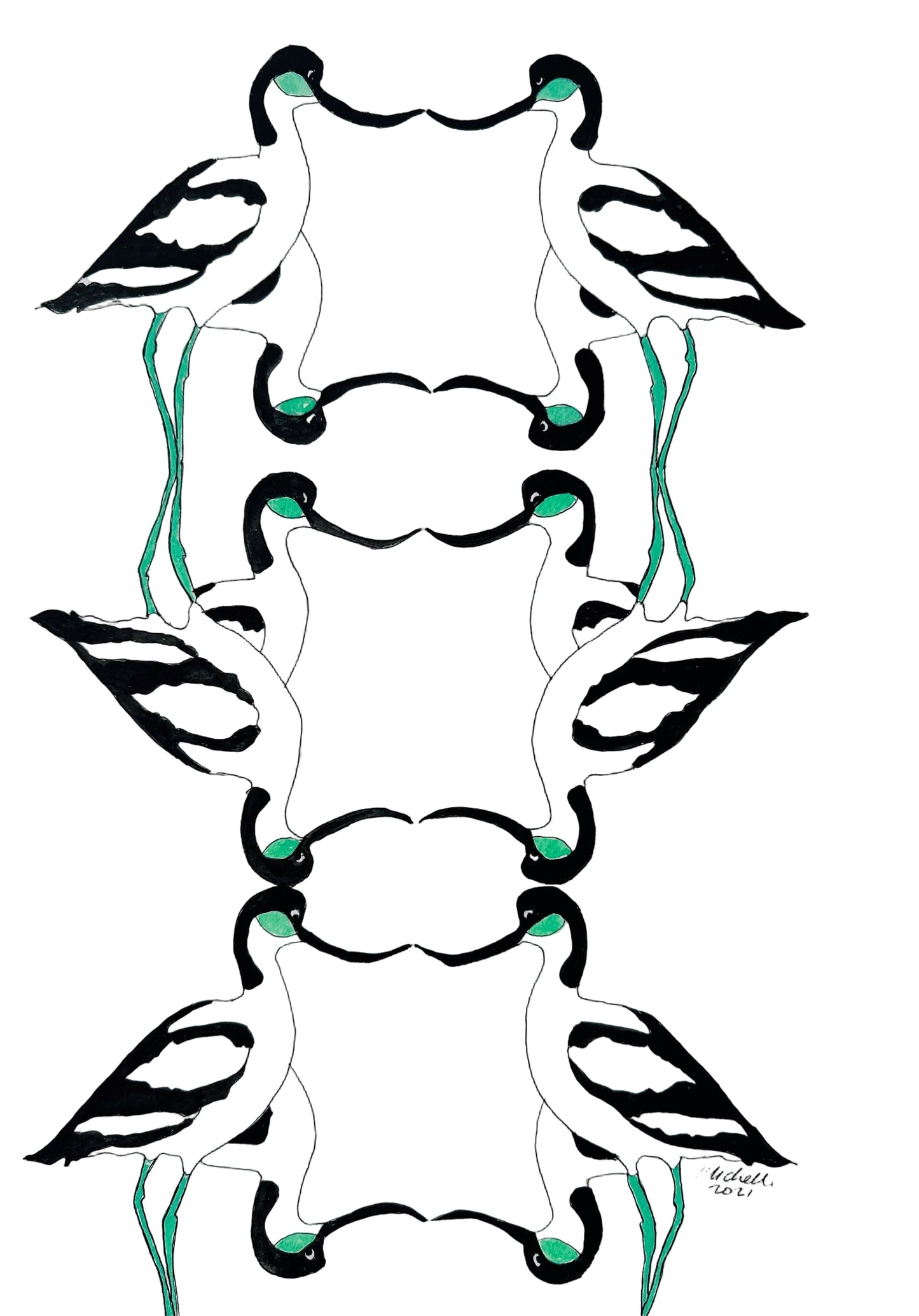 Avocets