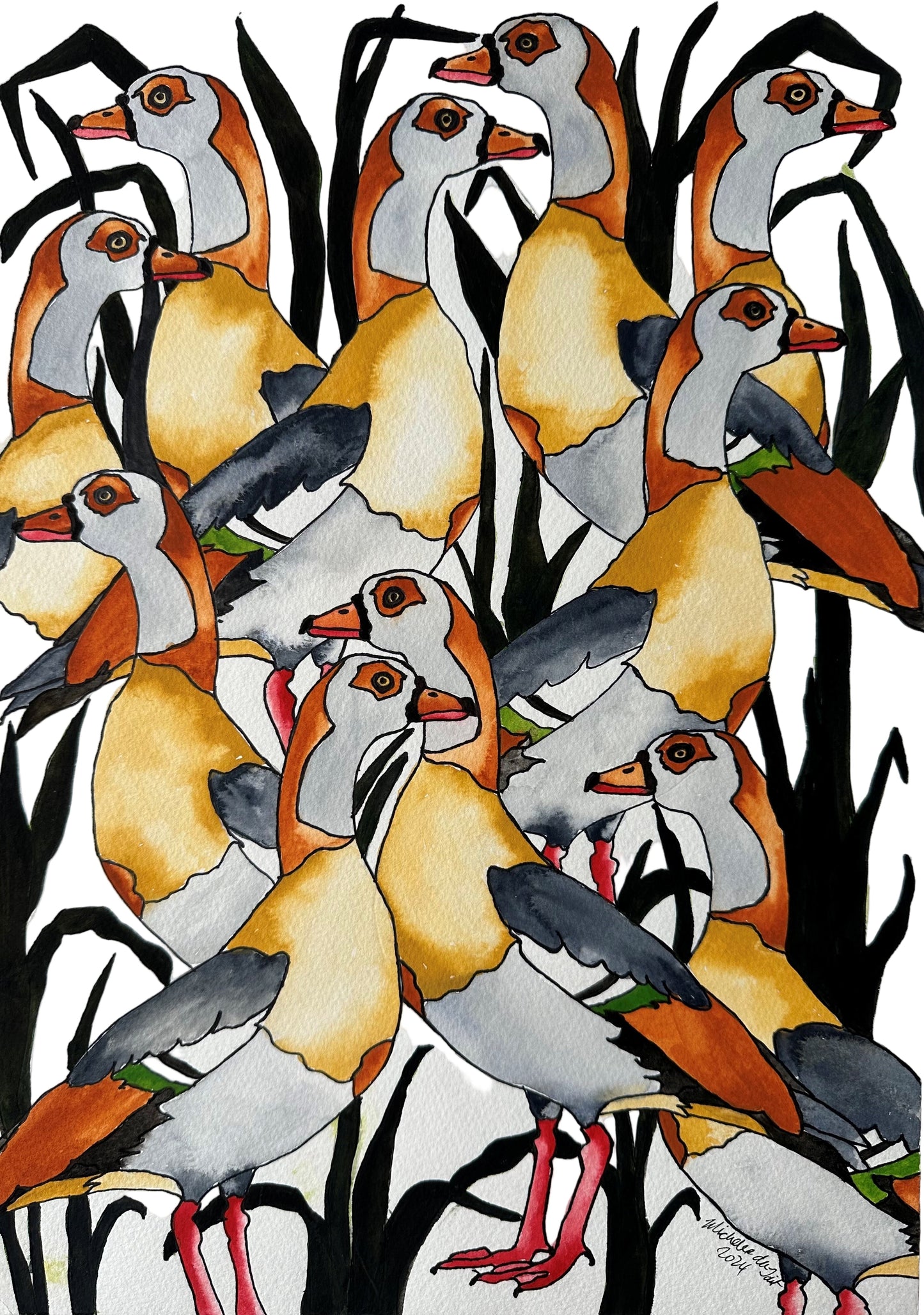 Egyption Geese