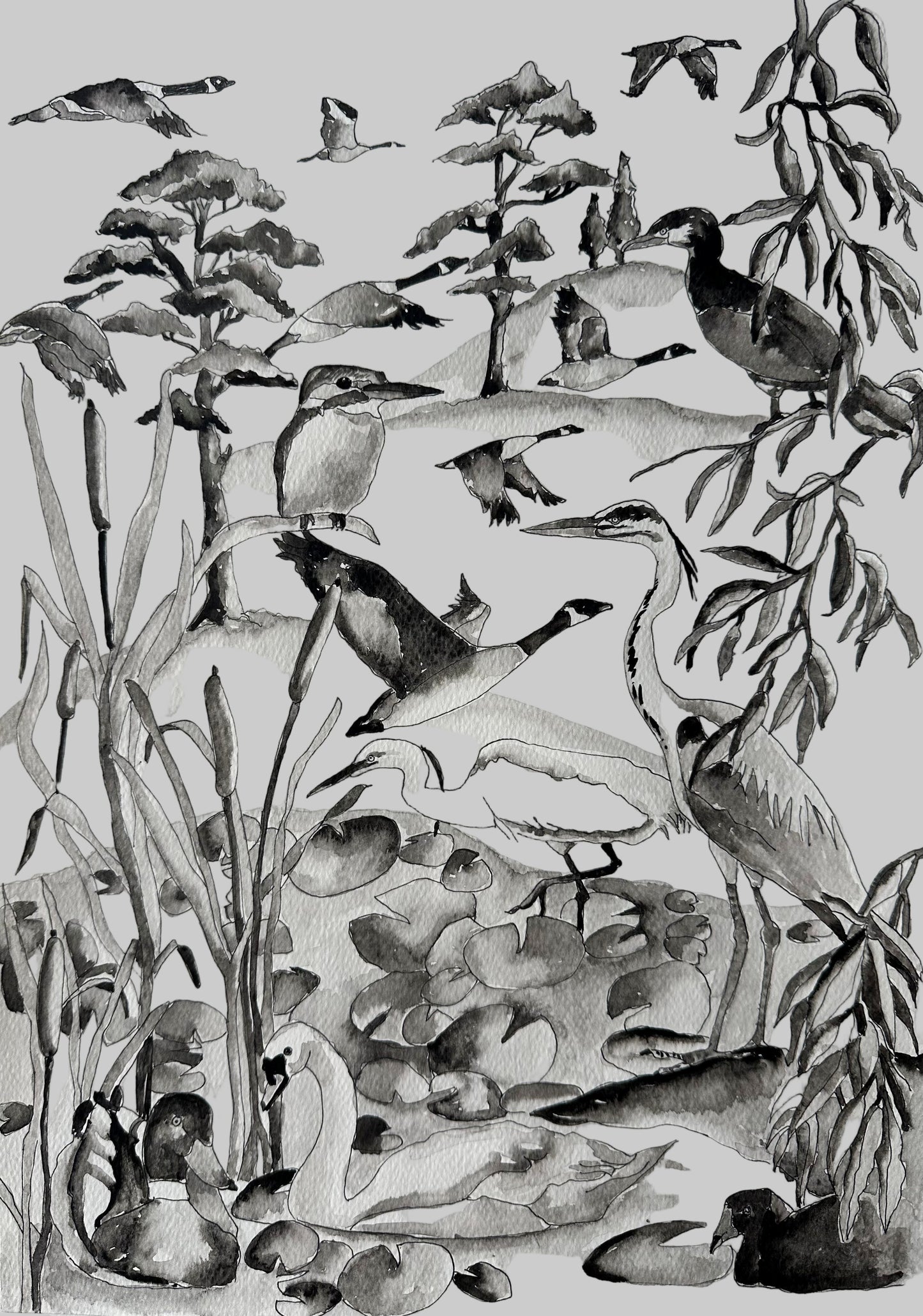 English Riverbank Birds