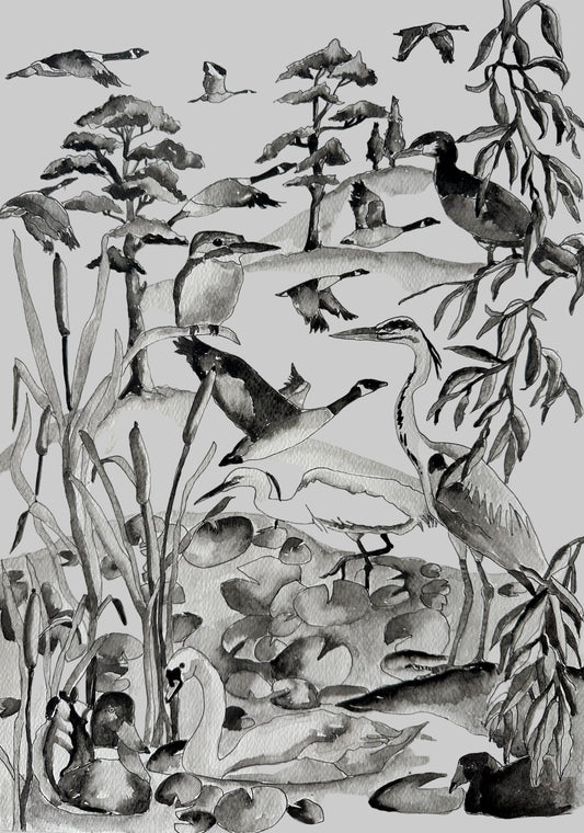 English Riverbank Birds