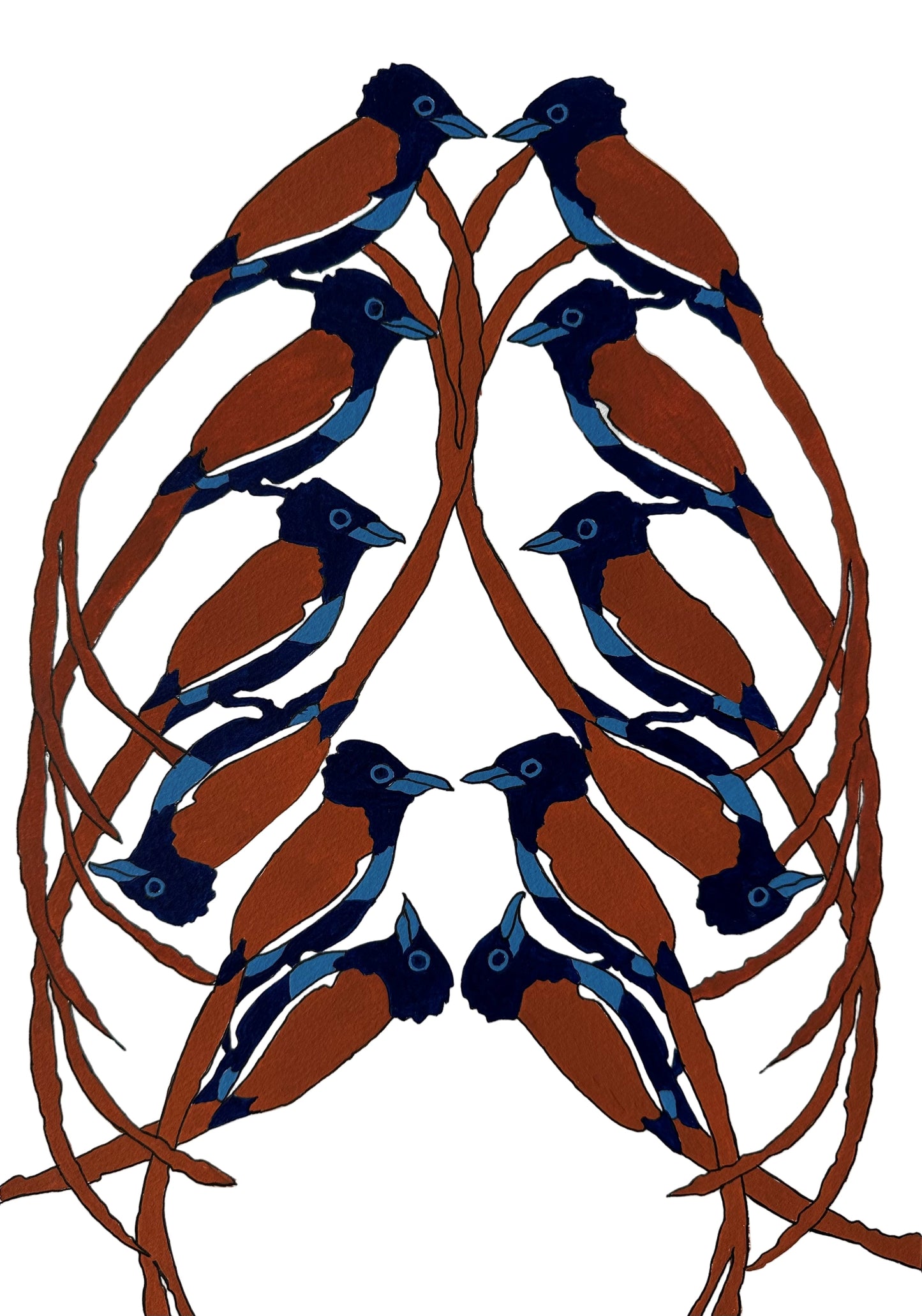 Paradise Flycatchers