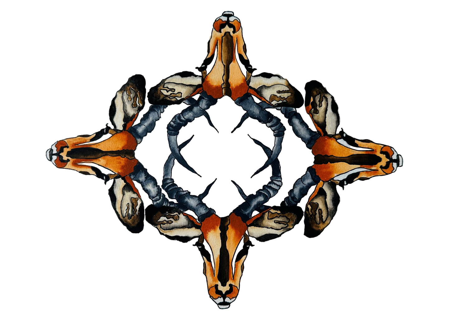 Impala