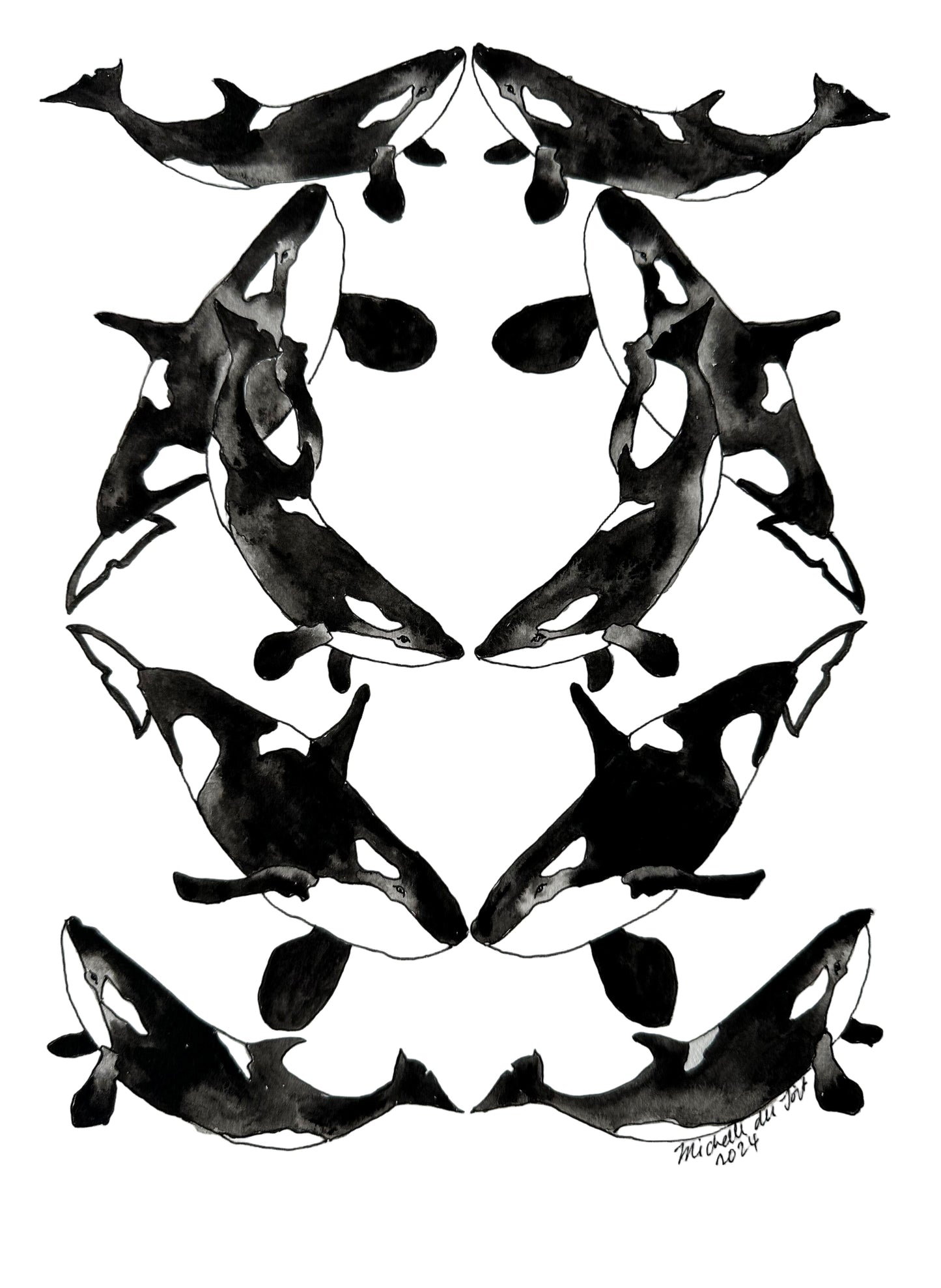 Orca Whales