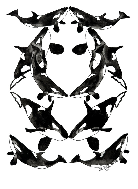 Orca Whales