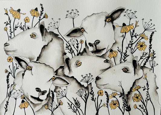 Sheep
