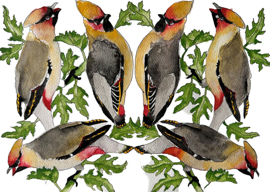 Waxwings